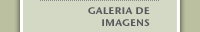 Image Gallery