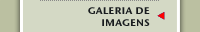 Image Gallery